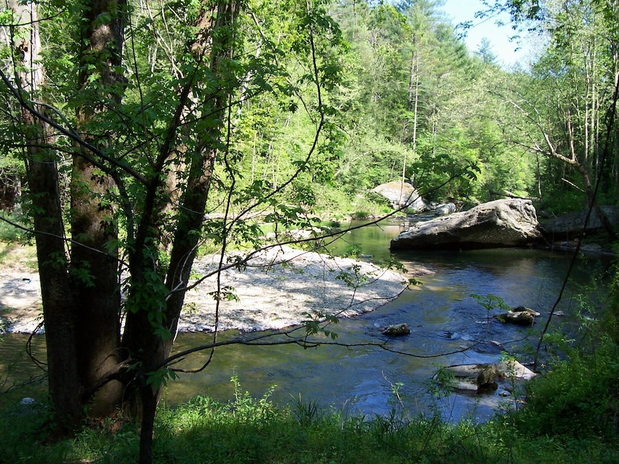 Along a long, upaved mountain road below Blowing Rock, NC.