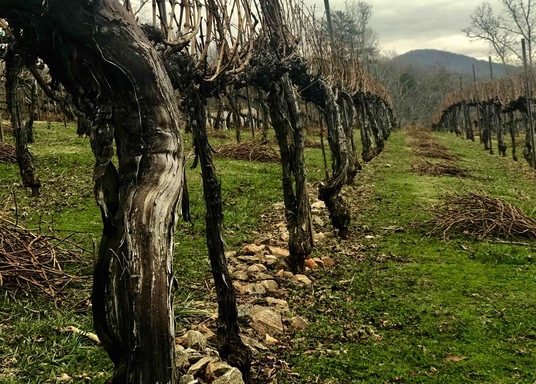 Dahlonega, Georgia, Egyesült Államok