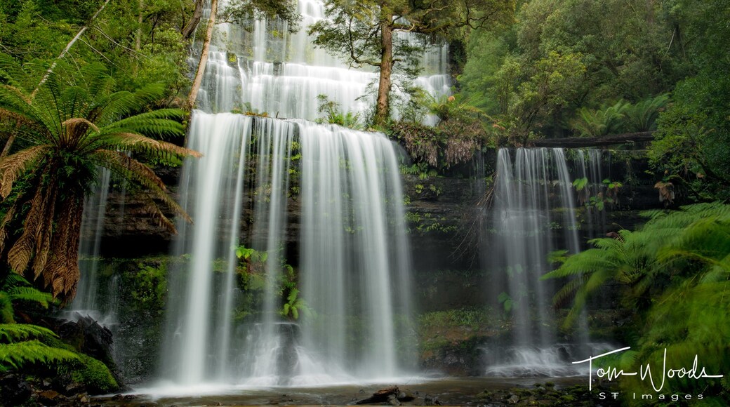 Russell Falls, Mount Field, Tasmania, Australia