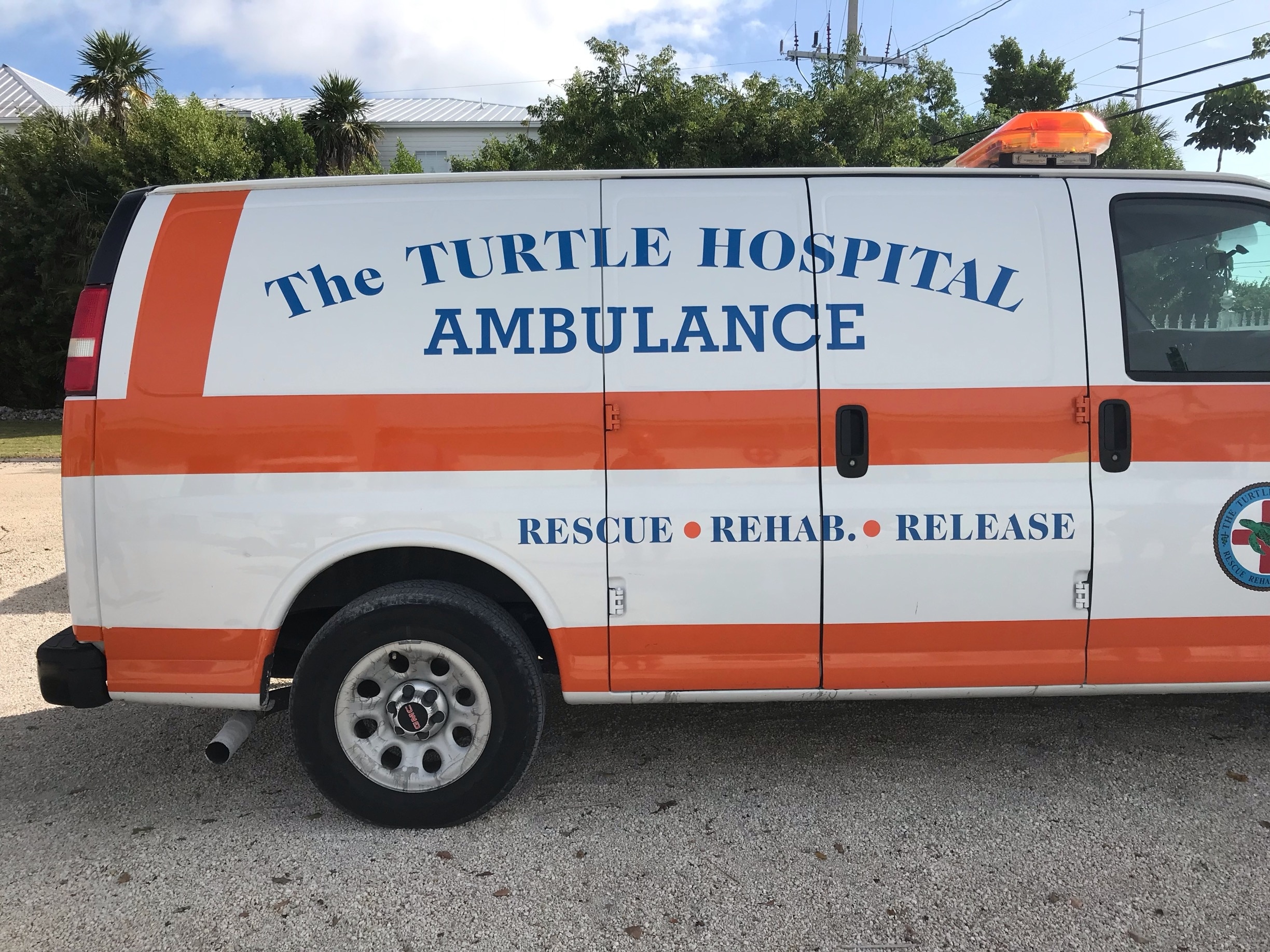 A must visit in my opinion. Go to the turtle hospital and learn about our endangered friends. See the great work the hospital is doing to look after the turtles. Takes about 90 mins to go round,meet all the turtles and even feed them.