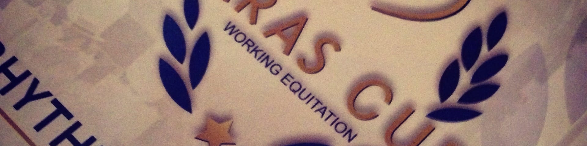 #Haras Cup #WorkingEquitation