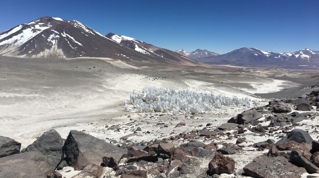 Copiapó, Atacama Region, Chile