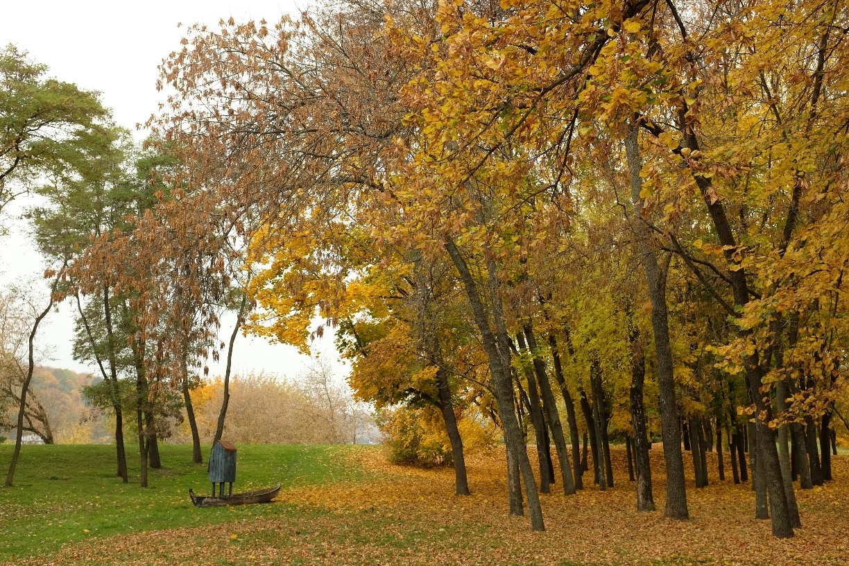 Walking around Kaunas Castle. Place where river Neris is flowing in to river Nemunas. 