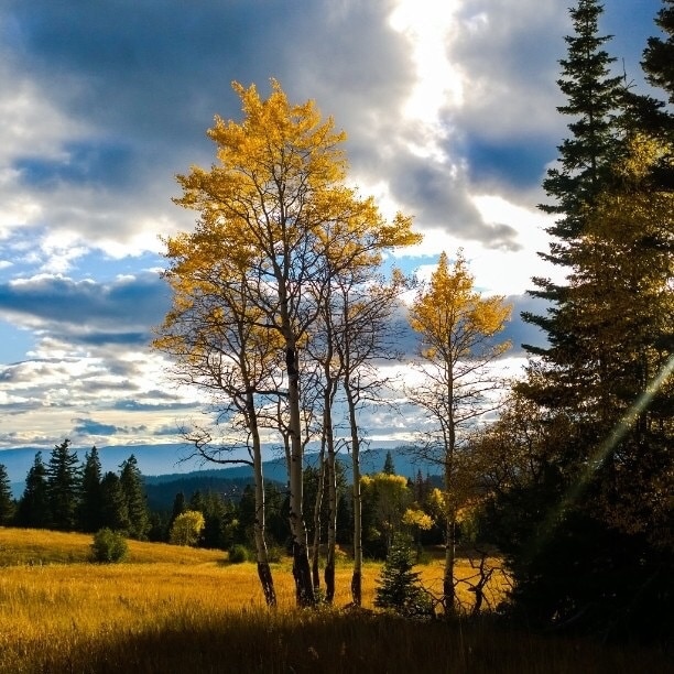 Cle Elum, WA Vacation Rentals house rentals & more Vrbo