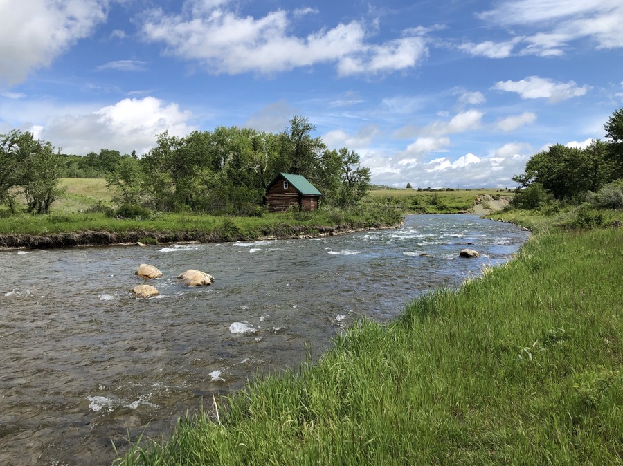 The Crowsnest River, a tributary to the Oldman River in southwestern Alberta, is a highly productive river with a substantial insect population that fuels a world-class sport fishery. (July 2019)
#Nature #MyBackyard