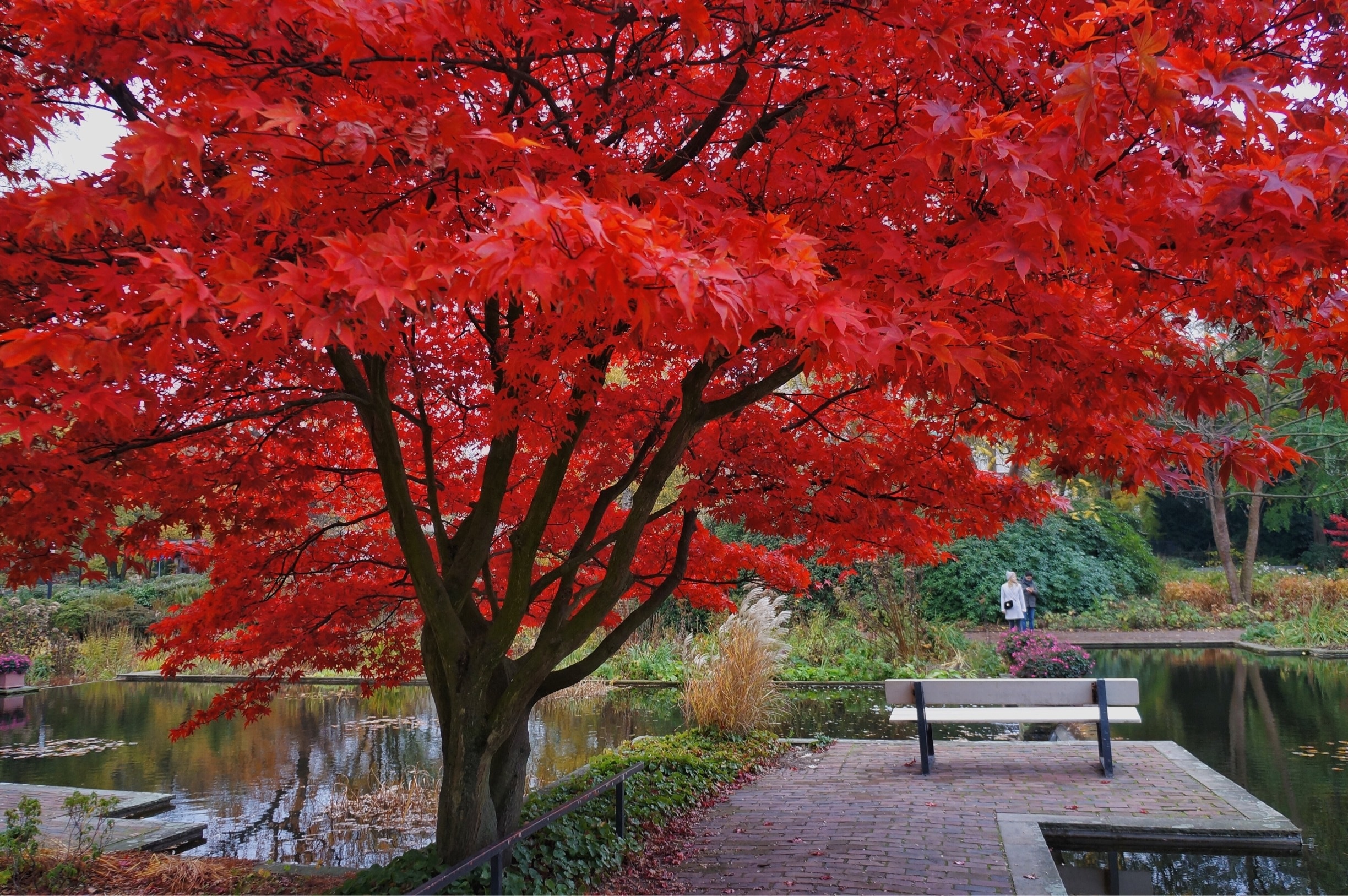 Planten un Blomen in HamburgMitte Tours and Activities Expedia Planten un Blomen in HamburgMitte Tours and Activities Expedia