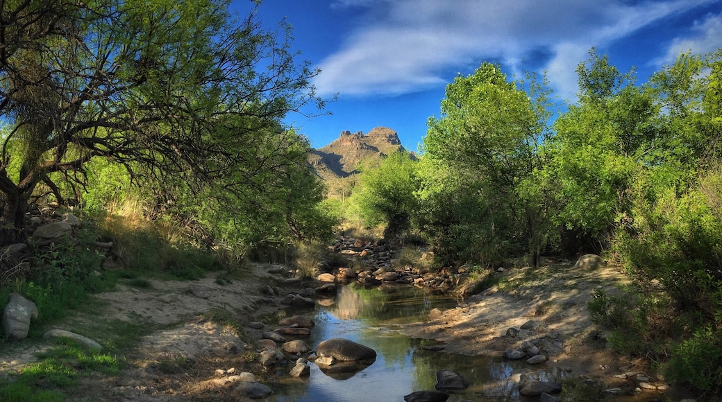 Tanque Verde, Tucson, Arizona, United States of America