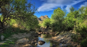 The desert is #green in April... Southern #Arizona's mountain canyons, especially around #Tucson, are full of hiking possibilities... #oasis #SonoranDesert #SantaCatalinaMountains