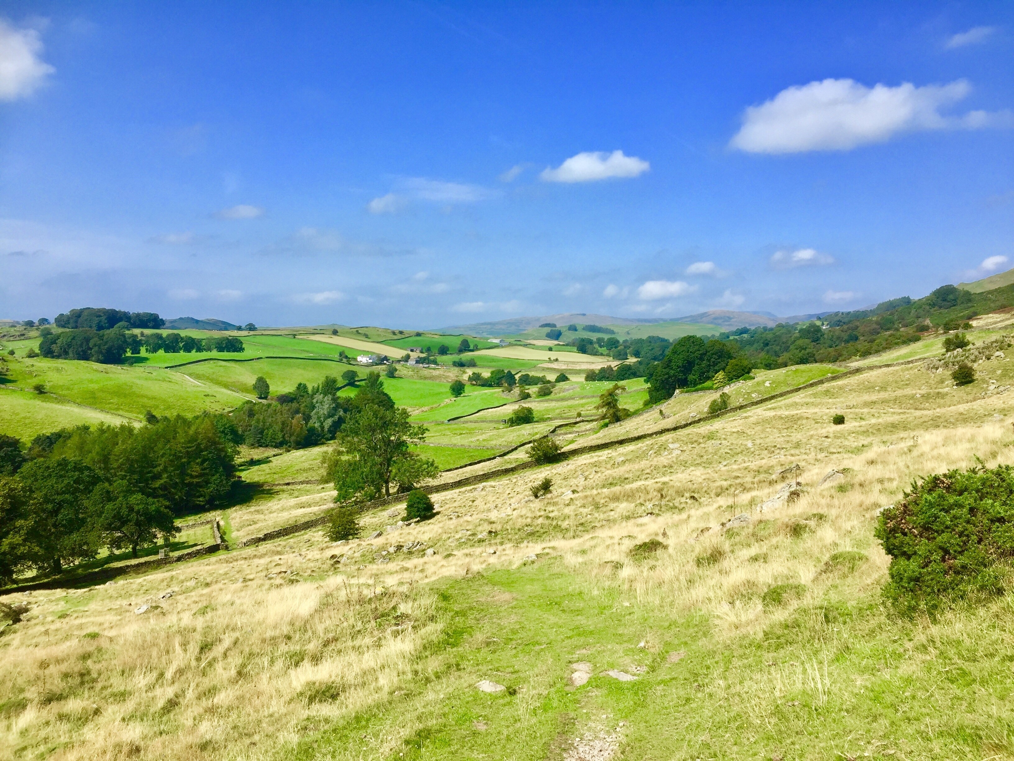 Foto av Kathy Appleby