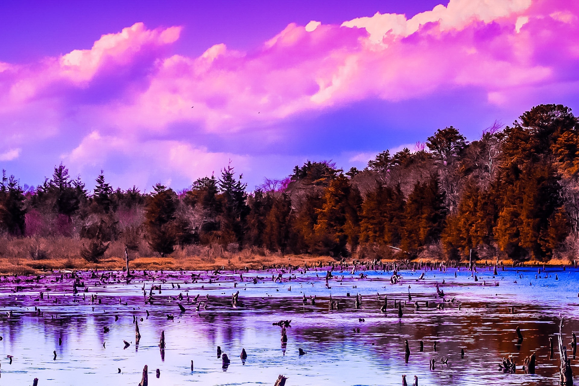 NJDEP, Double Trouble State Park