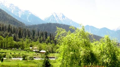 Pahalgaon in Kashmir Valley is a Natures paradise famous for the Greenery and the Lidder River passing through it.