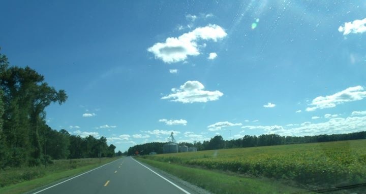 One a clear day you can see the world. Back road county on Route 306, miles of farmland and pine trees. Beautiful.