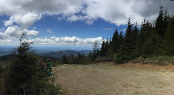 The peak between Point No 1 and No 2 called Hikers Hut has an amazing view. #lifeatexpedia #tigermtn