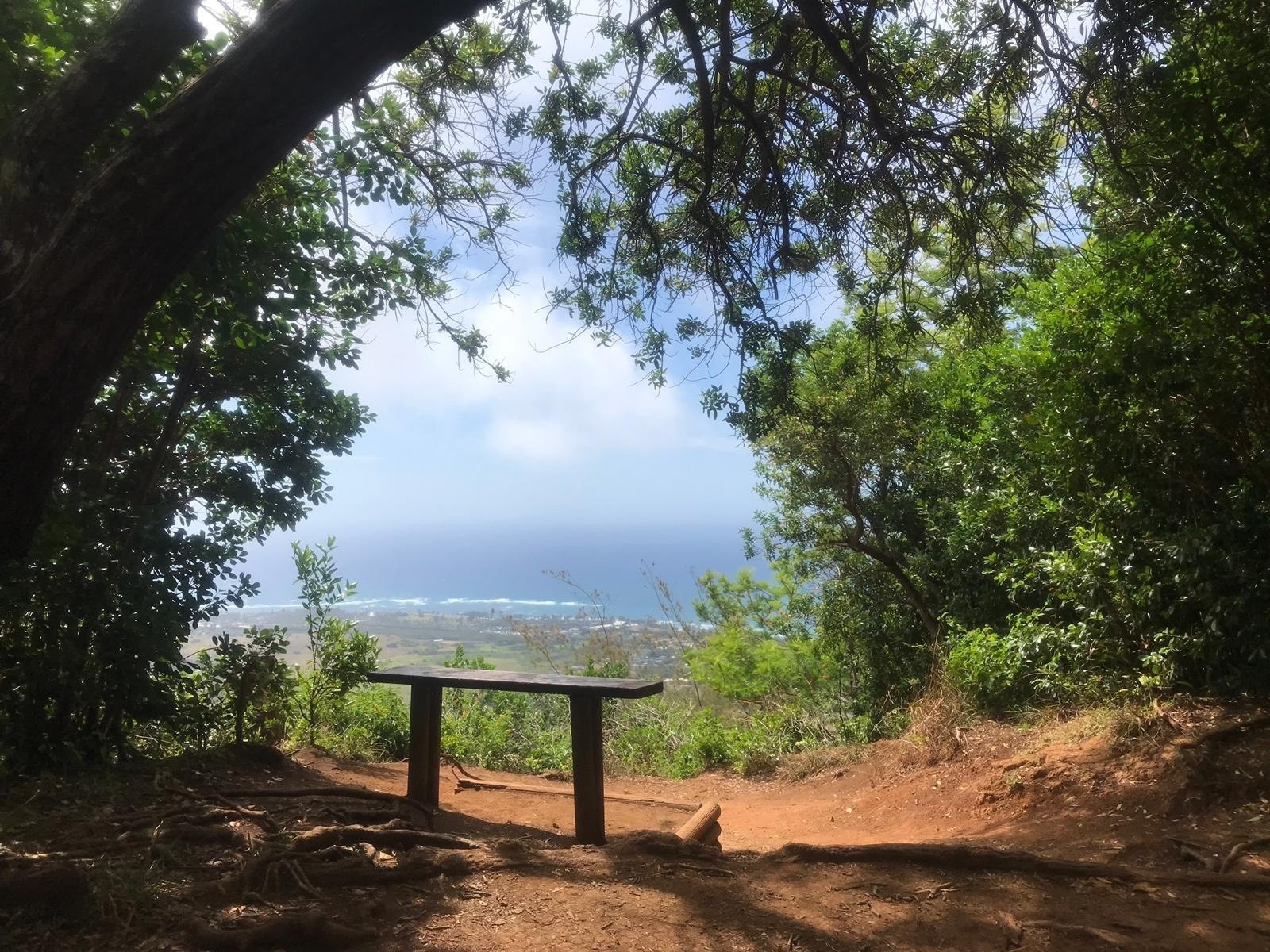 Hiking Sleeping Giant and Ho'opi'i Falls