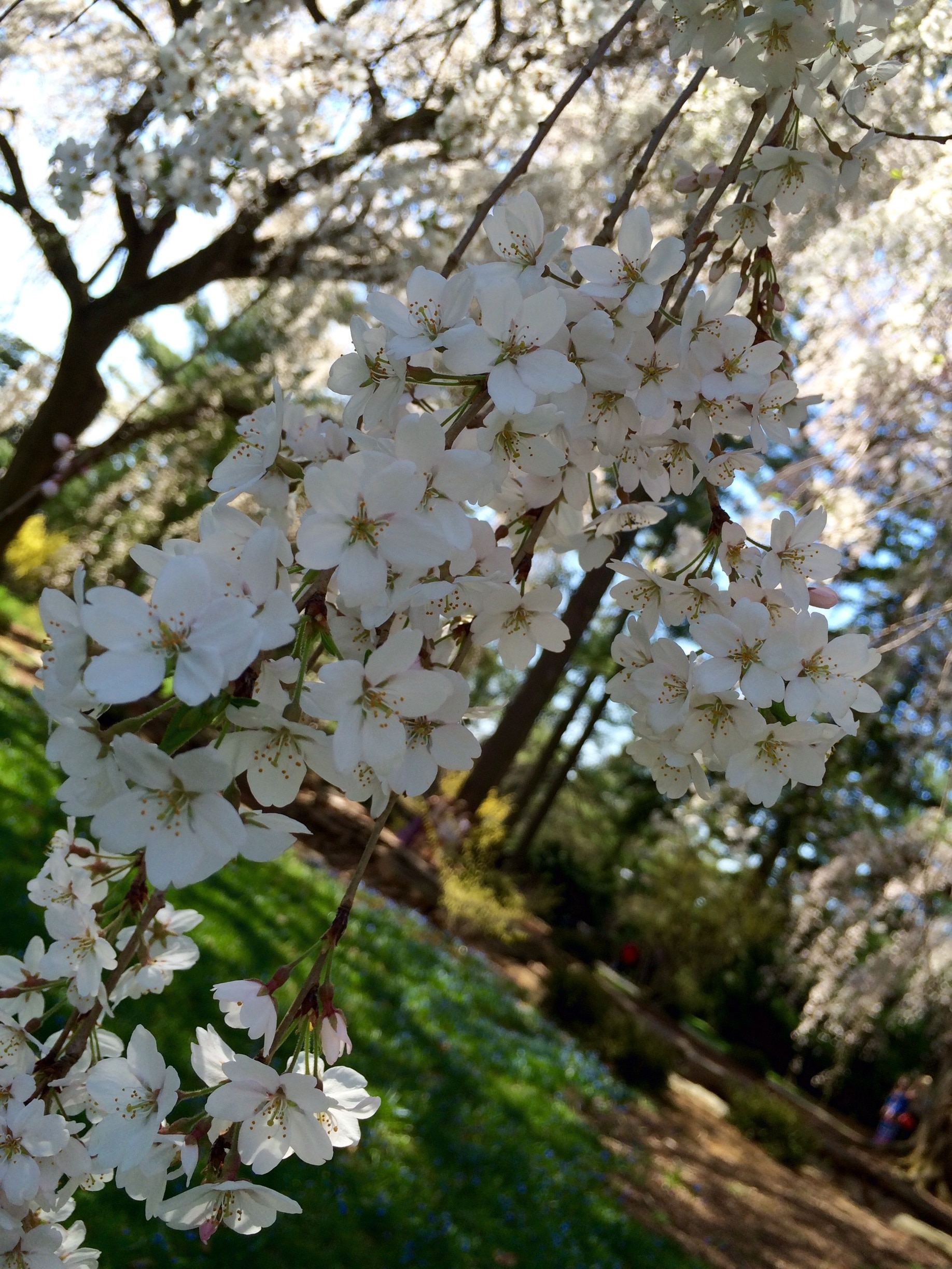 Photo by 🦋GoLdEn AnN🦋