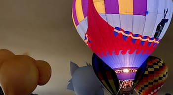 #upupandaway #balloonglow #balloonglow2019 #remax #upandaway #orlando #orlandoballoonglow #aroundorlando #baldwinpark #orlandonightlife #bluejacketpark #hotairballoon #otown #sonyalpha #orlandophotographer #centralflorida #visitflorida #thecitybeautiful #alpha6000 #a6000 #visitorlando #sony #thecitybeautiful #citybeautiful #sowhatever #illbeupupandaway #balloonfestival #adventuring #glow