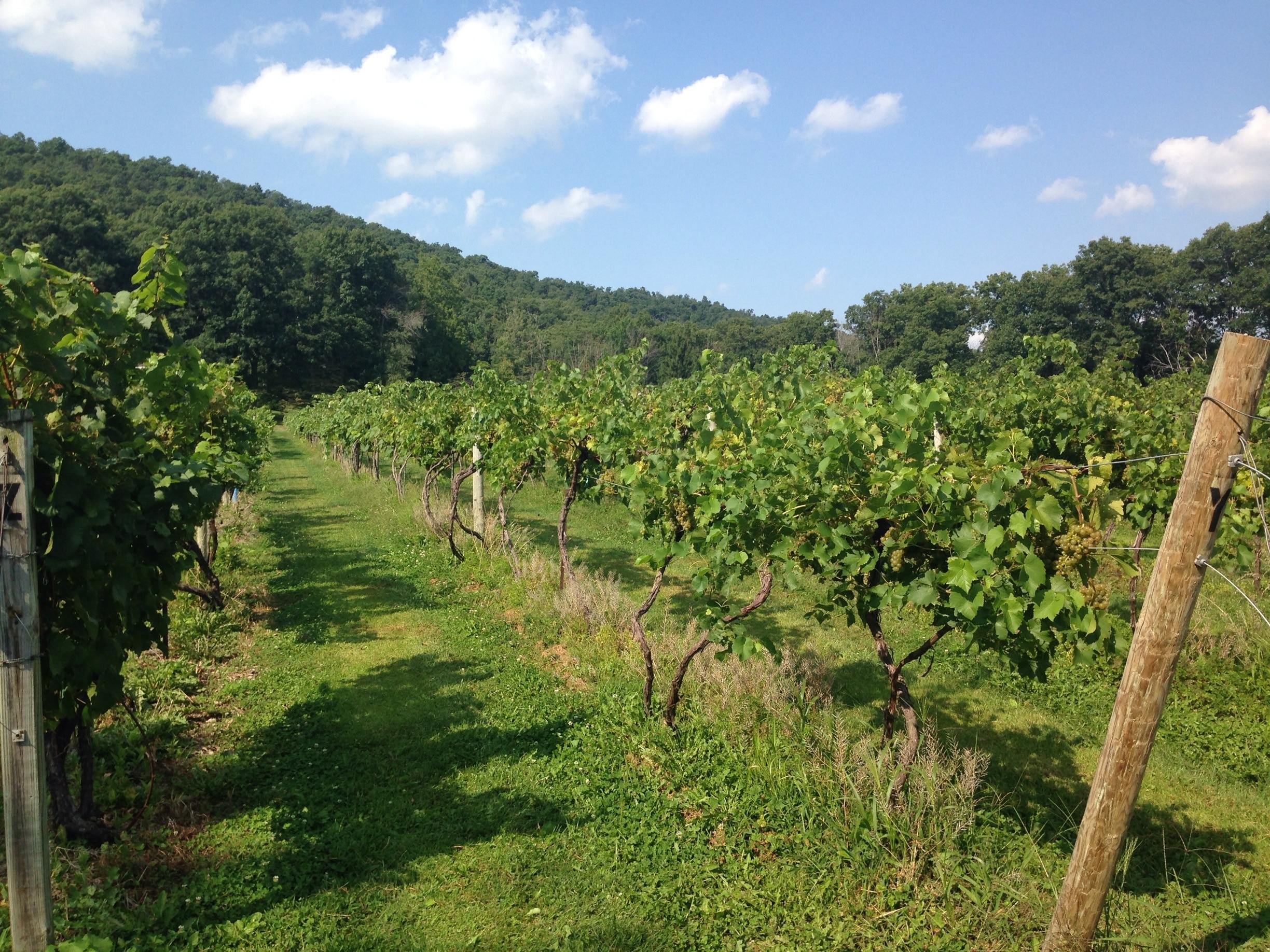 Excellent wine tasting spot with gorgeous scenery. 