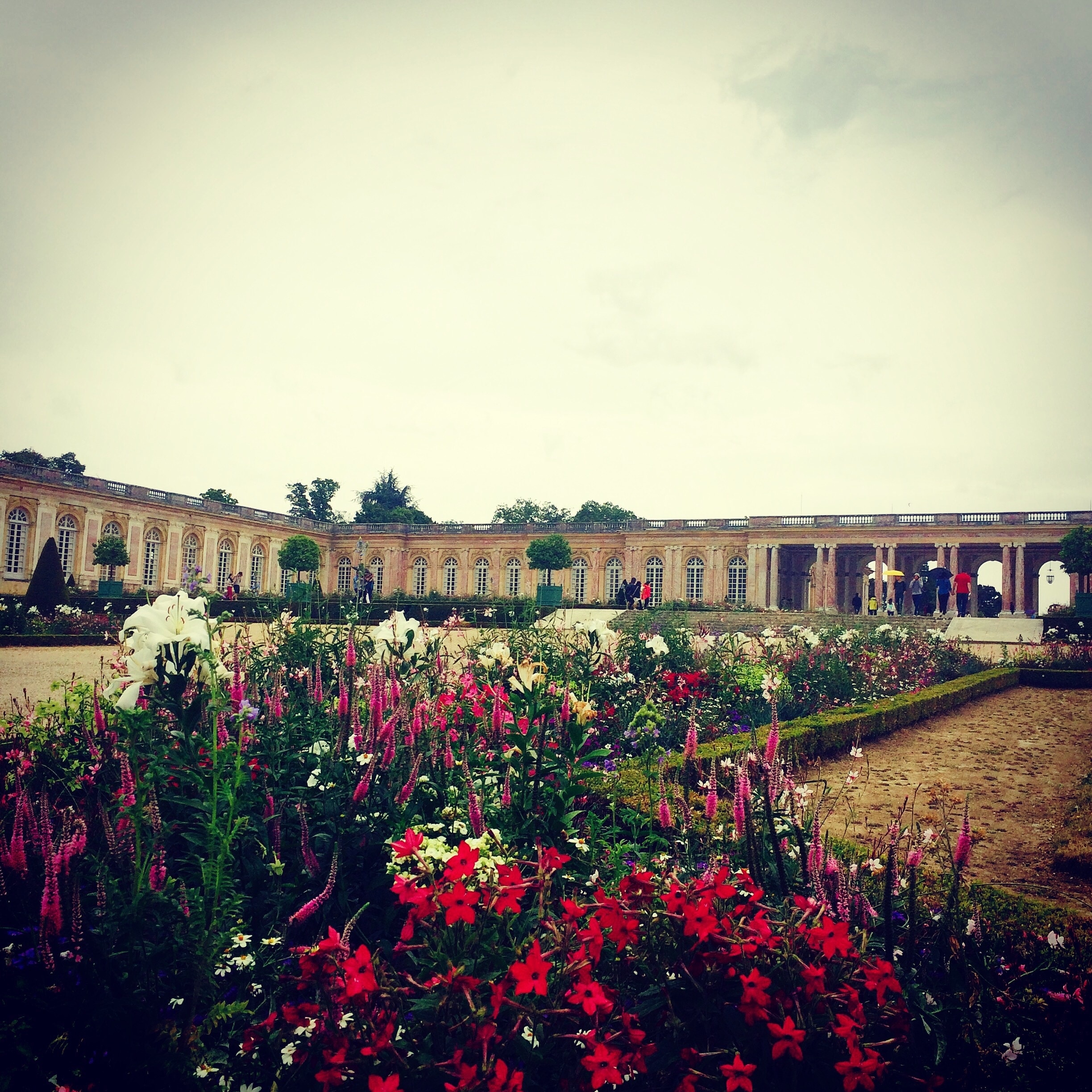 The Grand Trianon was a lovely part of the Versaille Castle park. Much less crowded inside and out than the main palace. This is where  the king used to come to just enjoy some peace and quiet away from all the people in the main palace. The garden is lovely and the flowers had such a nice smell. #Paris #Versailles #garden