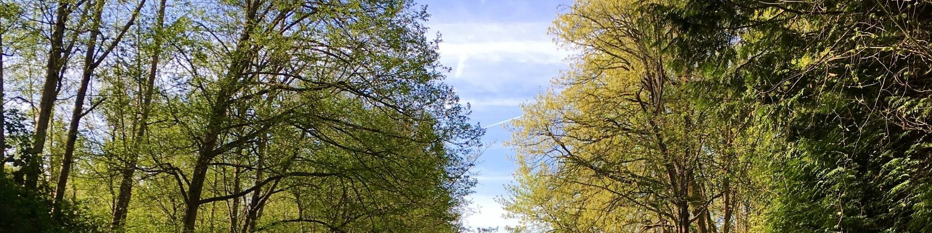 A 5.75-mile corridor through the heart of Kirkland and the first improved section of the Eastside Rail Corridor. #bikeexpedia