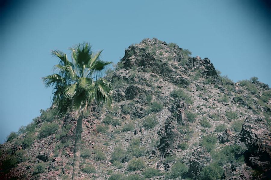 View of Piestewa Peak surrounded by desert landscape in Phoenix, Arizona.