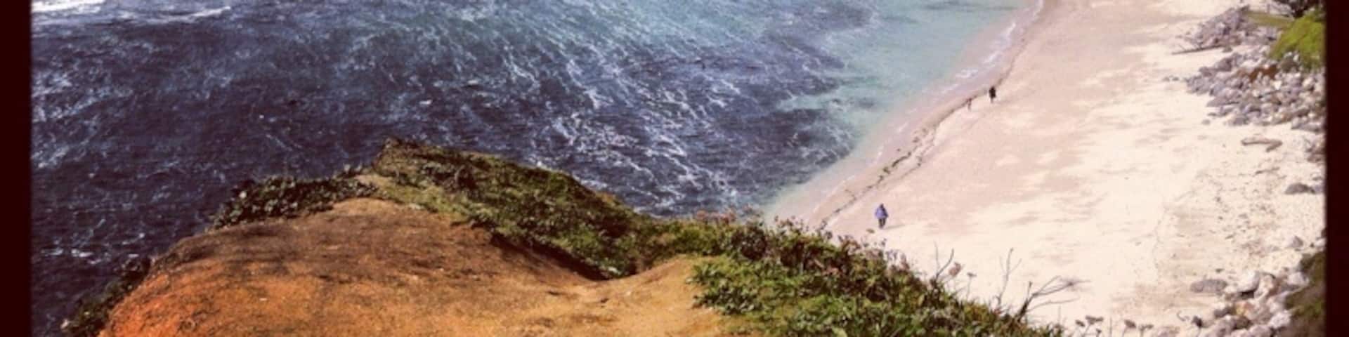 Welcome to the cliff that overlooks Moss Beach. You can hike down for a walk on the #beach or check out the nearby #restaurant, the Moss Beach Distillery which, legend has it, is #haunted by the #ghost of The Blue Lady. Enjoy your meal with a view of the #ocean and when you're done, relax by the #bonfires that are set up on the outdoor patio. If you're lucky (unlucky?), you may be there to see the chandeliers being shaken up by The Blue Lady...Happy Halloween, Trover!