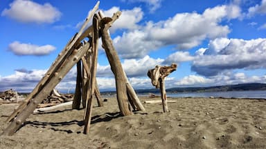 I stumbled upon this amazing little seaside park on Whidbey Island when I had some extra time on my hands. 

On a clear day you can see Seattle and I swear this is where sea forts go to be born. #beach #ocean #sand
