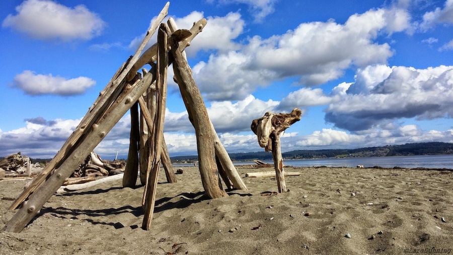 I stumbled upon this amazing little seaside park on Whidbey Island when I had some extra time on my hands.
On a clear day you can see Seattle and I swear this is where sea forts go to be born. #beach #ocean #sand