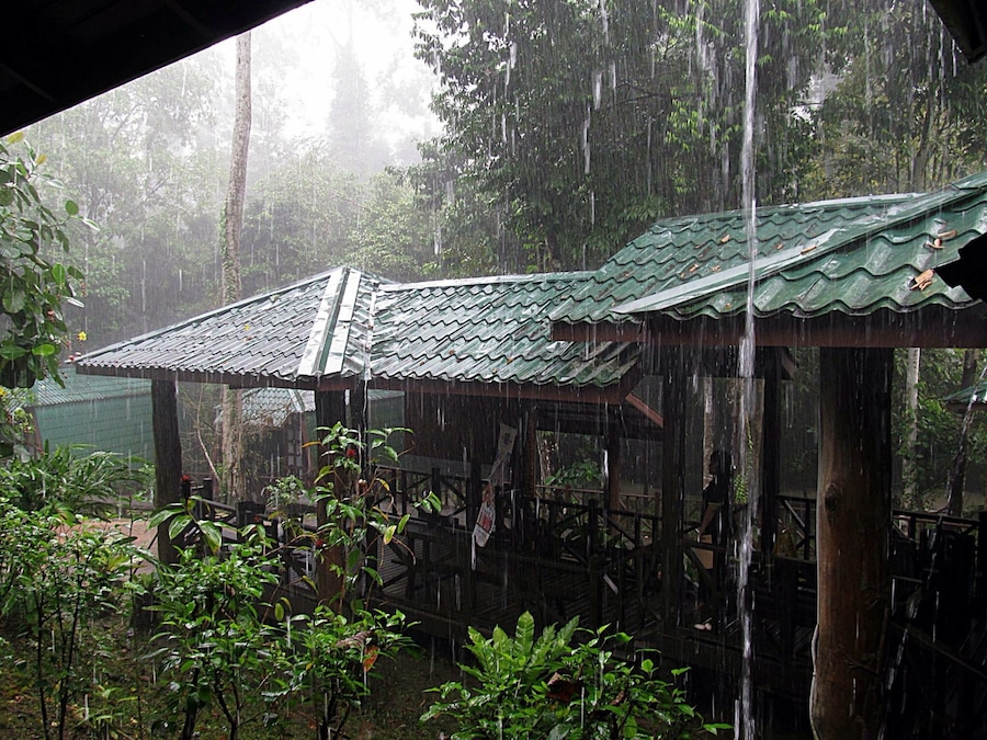 Just a little rain