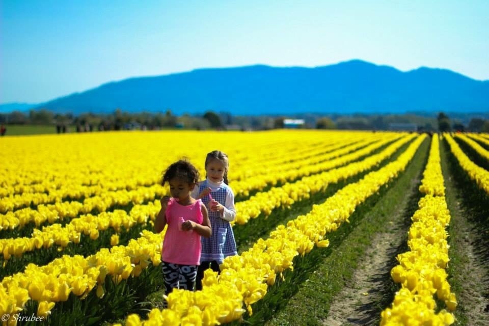 Concrete, WA Vacation Rentals house rentals & more Vrbo