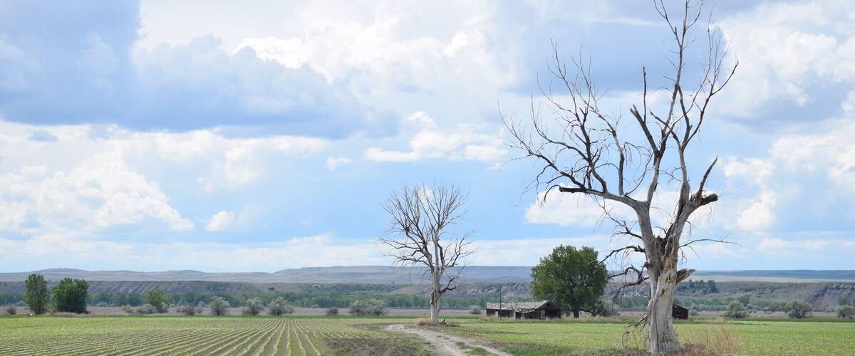 This is near St. X as they say out here, headed out to Yellowtail Dam, a must see if you're out this way.