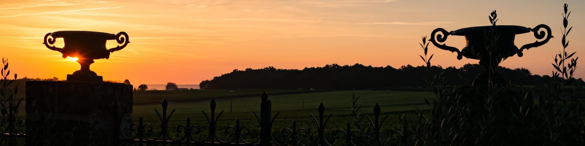 Cognac Bertrand at dawn