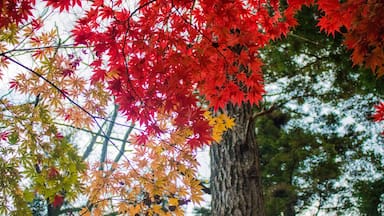 How do you shine amongst the many.. ironically the colour of anger and love #Red