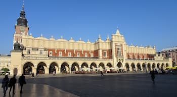 The Kraków Cloth Hall (Polish: Sukiennice), dates to the Renaissance and is one of the city's most recognizable icons. It is the central feature of the main market square in the Kraków Old Town
