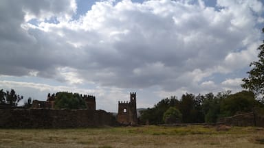 Gondar castle on a warm but cloudy day. A real medieval feeling walking around this Royal Enclosure.

#ethiopia #ruins #castle