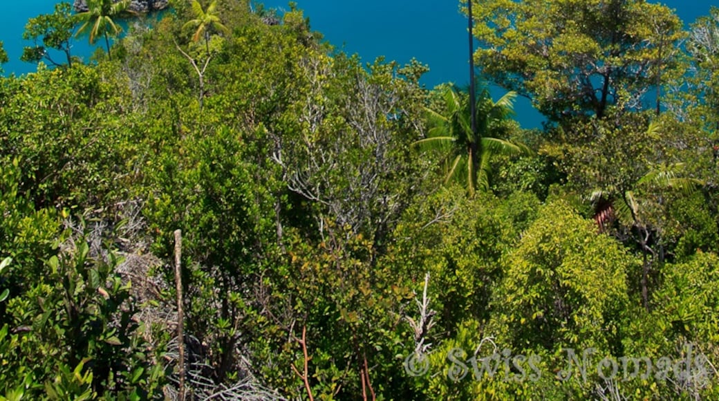 Pulau Fam, Papua Barat, Indonesia