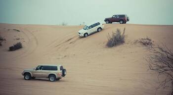 Desert Safari. Dune Bashing at Al-Awir #lifeatexpedia #dubai #alawir