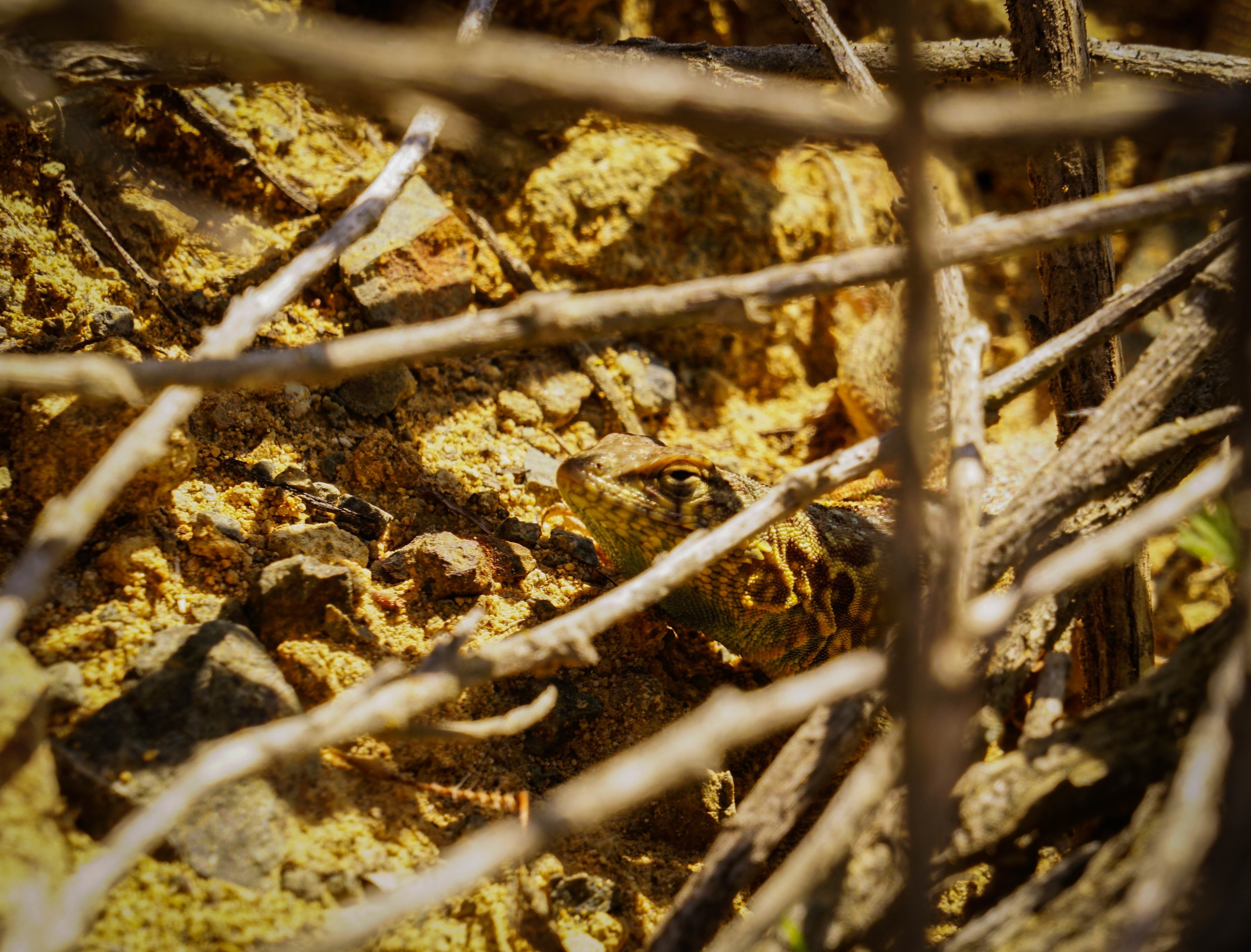 Reiseführer Avalon 2023 das Beste in Avalon entdecken Expedia.de