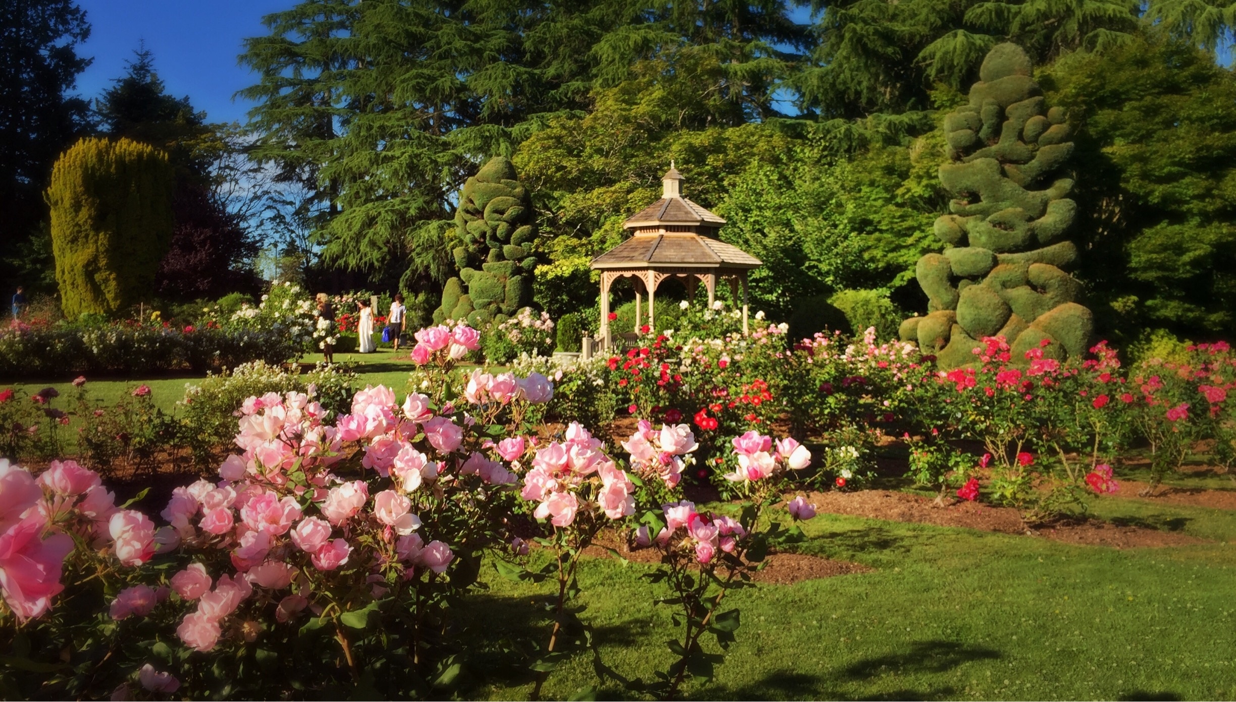 Rose Garden - Woodland Park Zoo Seattle WA