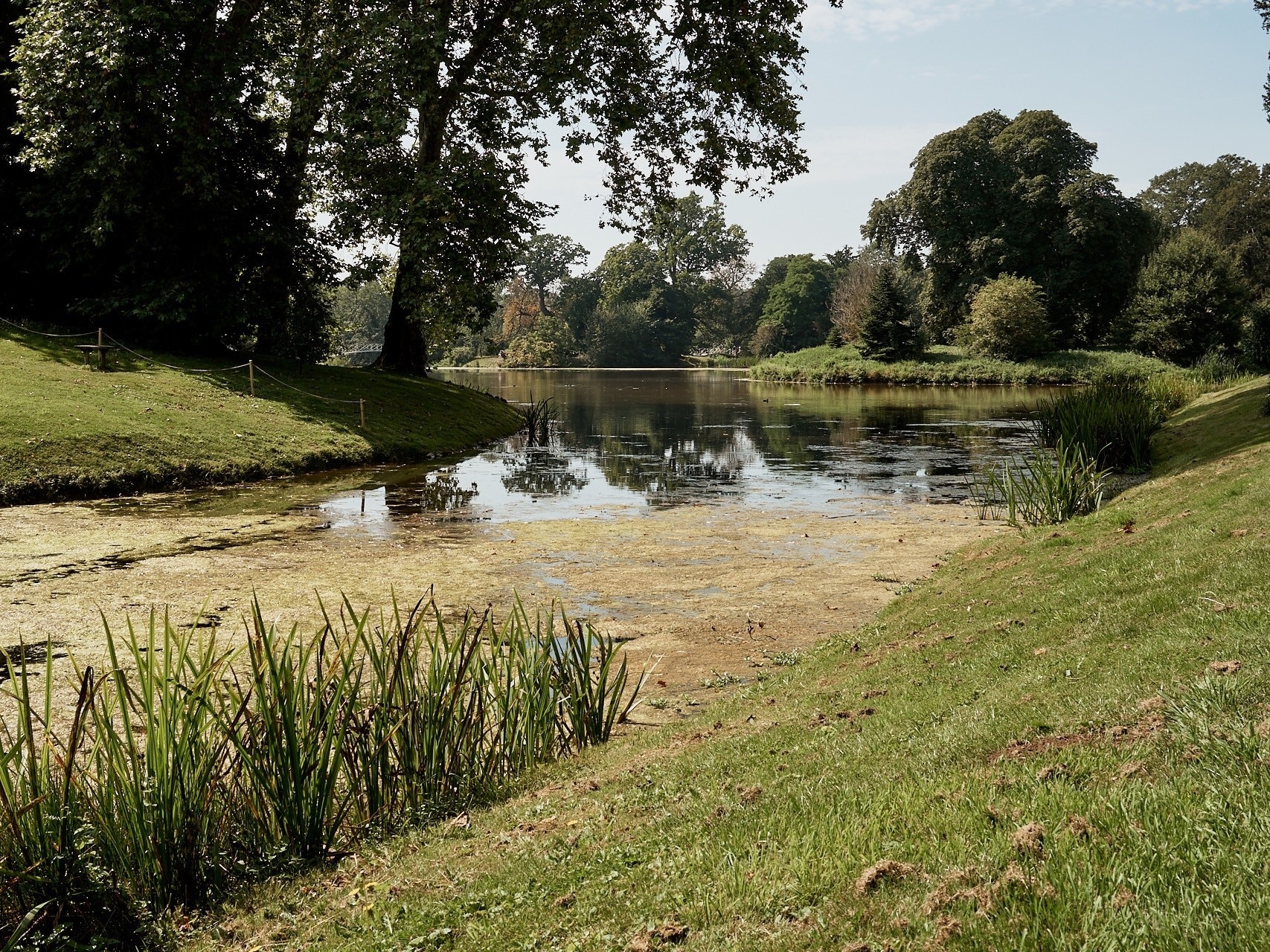 Ảnh của Nicki Johnson