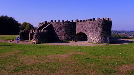 Photo by Noel Jackson