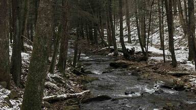 Beautiful creek and trails to hike off of Little Bear Creek.