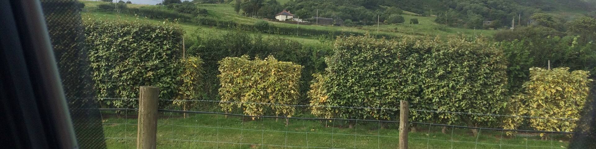 Beautiful Caravan Cl , view from our Window