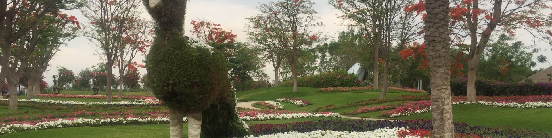 Tequesquitengo, Jojutla, Morelos, Mexico