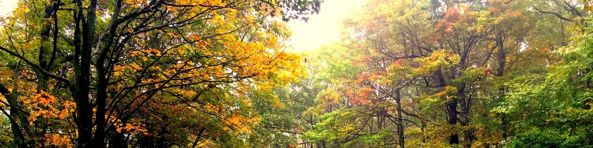 Condado de Madison, Virgínia, Estados Unidos