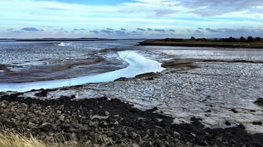 View North East from the Coastal Path leading from Conyer Quay out across the Thames Estuary. A peaceful place. Stop at the Ship Inn in Conyer after your walk.