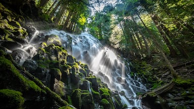 A necessary water stop for backpackers on the Timberline Trail, this cascading waterfall near Mt. Hood reveals the volcanic rock in the area often hidden by soil and vegetation.