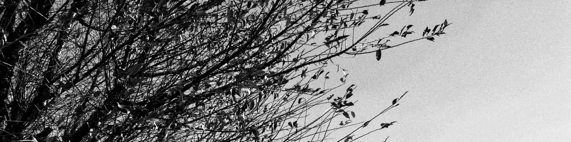 A new beginning.
.
.
.
#staytuned #travel #travellife #nikon #travelgram #vacation #roadtrip #dreamcometrue #traveladdict #explore #passion #BestTravelPictures #igtravel  #visitindia #wanderlust #hatketravels #dharamshala  #beautifulday #waterfall #mcleodganj