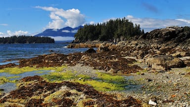 A place to explore the ocean’s tide pools and coast life