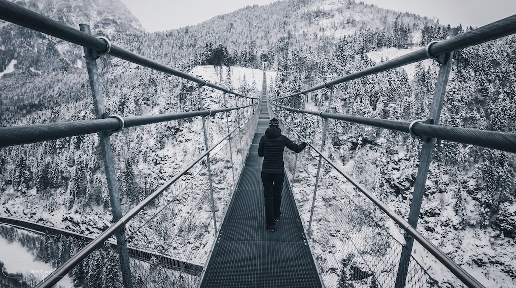 Cầu treo Highline 179, Reutte, Tyrol, Áo