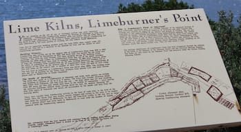 When the tide is low, you can see the remains of the lime kilns. You can see them on the Stingaree Bay side of Eastern Park. They are reinforced with steel.

#localgem